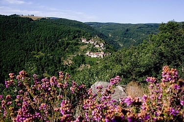 Tour du Tarn à cheval : Peyremaux / Mazamet