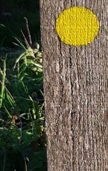 Les hauts de Savigny-sur-Braye