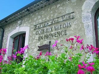 Vigne & Abbaye