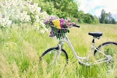 Vélo Découverte "Pays de Saint-Aulaye", en direction de la Charente