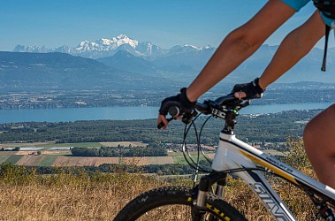 Parcours VTT 80 - vert - les Devins - Espace FFC Ain Forestière