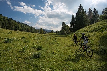 Parcours VTT 82 - bleu - Les Rochassons - Espace FFC Ain Forestière