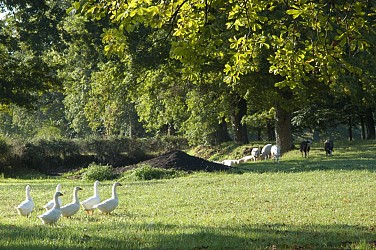 Circuit du centre de la France