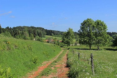 Le circuit des Forêts