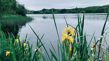 Sentier de Découverte de l'Etang de Majonenc