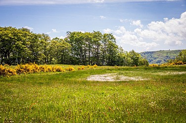 De Freytet à la Sagne