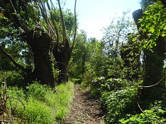 SAINT-PIERRE-DES-IFS  : A deux pas de Lisieux - 6,5 KM