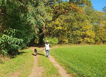 Circuit randonnée : Boucle des Corneillons