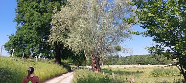 La grande escapade de Donzy