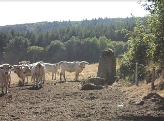 Les curiosités naturelles de St Saulge