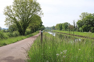 Entre Loire et Canal à Luthenay-Uxeloup