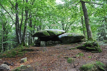 Circuit de randonnée : Boucle du dolmen Chevresse