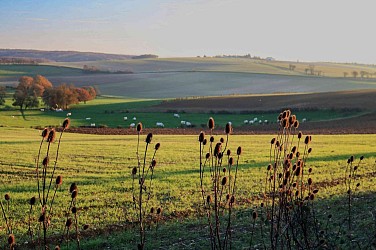Circuit panoramique au départ de Bouhy