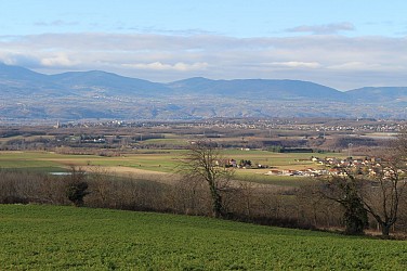 Circuit les châteaux d'Anjou