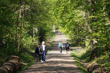 Entre jardins et forêt à Verrières-le-Buisson