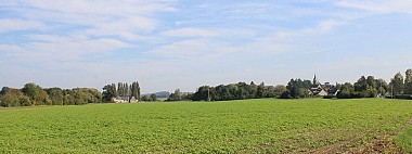 Du côté du terroir
