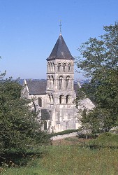 Une histoire de la vigne