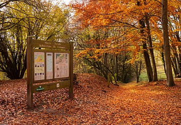 Le Chemin de Saint Rémi