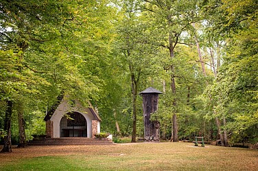 Bike tour to discover the Forêt d'Exception®