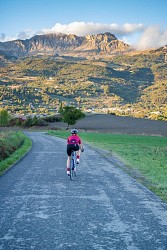 À la découverte des Olliviers