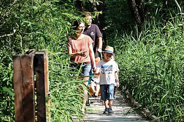 La zone humide du Liou