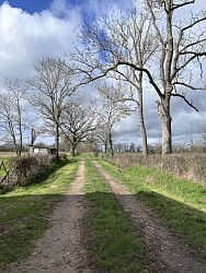 Balade Verte - Sur le haut du village (VSG 1)