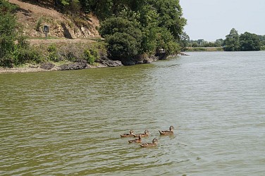 MACHÉ : Les Rives de la Vie *