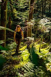 La Forêt royale - Chemin de la sabine