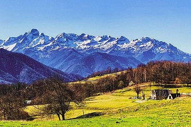 Les Ecureuils