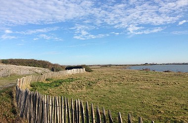 La Réserve d'Avifaune du Hable d'Ault