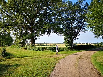 Circuit pédestre n° 83 "sentier de la croisée des chemins"