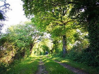 Circuit pédestre n° 81 "sentier Ô fil de l'eau"