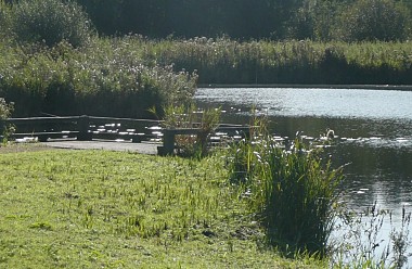 Balade au marais des Cavins