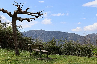 Altagene - Punta di Sarrado - Altagene