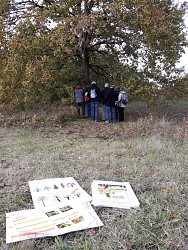Rando Clim Sentier ENS Prairie de Cherré Aubigné Racan