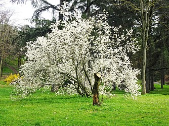 Bron-Parilly - Le stade du Rhône
