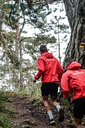 Le Bois Joli revisité  - Trail n°13