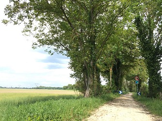 Between land and water - From Marckolsheim to Kunheim