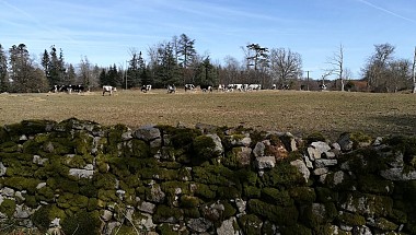 Sentier de Muret