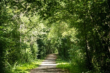 Sentier d’interprétation en Forêt de Bourse
