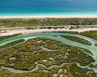 De la Mer Blanche au marais de Mousterlin