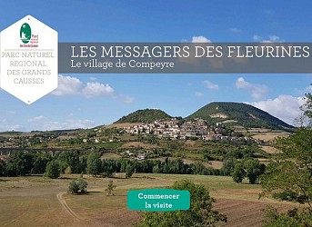Les messagers des Fleurines