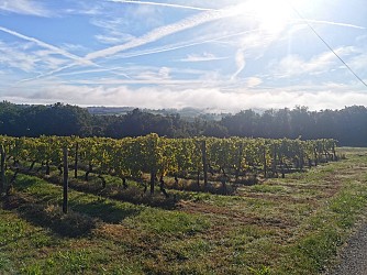 PR2 Montpezat-de-Quercy - Les coteaux du Quercy