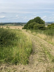 Les larris d'Auteuil