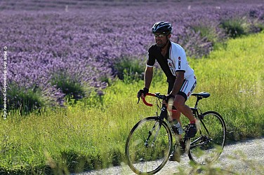 La route de la Lavande
