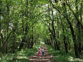 Circuit randonnée - Tumulus de Champ-Châlon