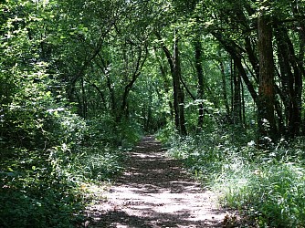 Circuit randonnée - Balade forestière à Benon