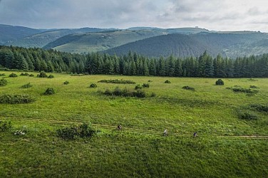 N°1 Vale and crest of Tiergues