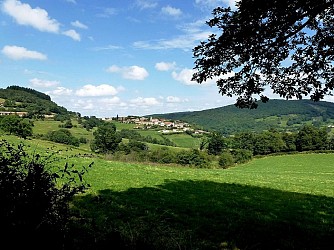 Cenves - Circuit des chèvres