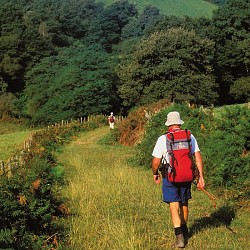 Sur les Traces des Alambics - à pied
